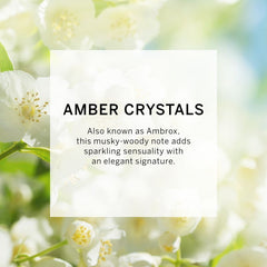 VICTORIA'S SECRET DREAM ANGEL EAU DE PARFUM 100ML 3.4 FL.OZ. WOMEN FRAGRANCE