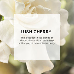 VICTORIA'S SECRET ANGEL GOLD EAU DE PARFUM 100ML 3.4 FL.OZ. WOMEN FRAGRANCE