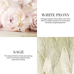 VICTORIA'S SECRET BOMBSHELL SEDUCTION EAU DE PARFUM 50ML 1.6 FL.OZ. WOMEN FRAGRANCE